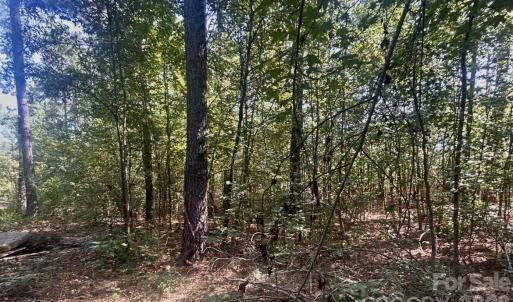 Photo #12 of 1216 Ross, Blackstock, SC