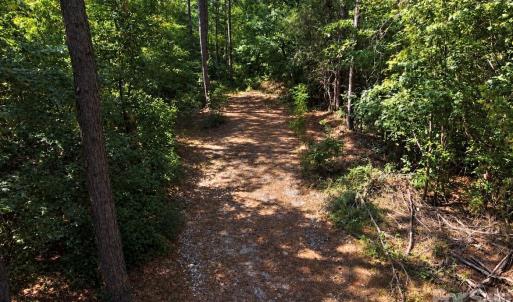 Photo #1 of 1216 Ross, Blackstock, SC