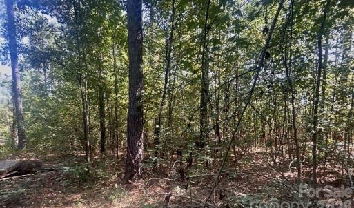 Photo #2 of 1216 Ross, Blackstock, SC