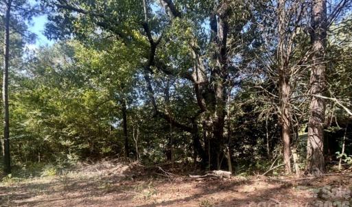 Photo #13 of 1216 Ross, Blackstock, SC