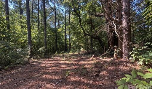 Photo #3 of 1216 Ross, Blackstock, SC