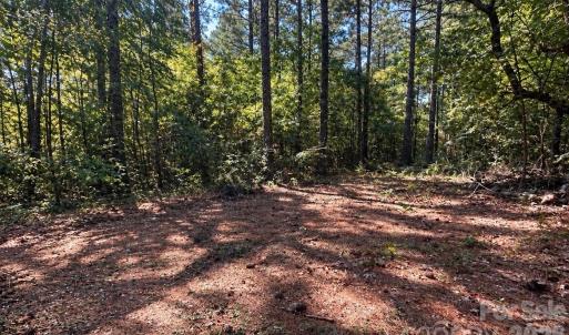 Photo #7 of 1216 Ross, Blackstock, SC