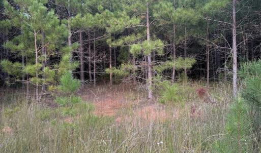 Photo #2 of Pleasant Grove Church, Wadesboro, NC