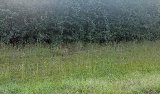 Photo #11 of Pleasant Grove Church, Wadesboro, NC