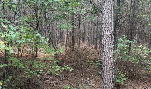 Photo #7 of Pleasant Grove Church, Wadesboro, NC