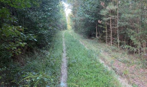 Photo #10 of Pleasant Grove Church, Wadesboro, NC