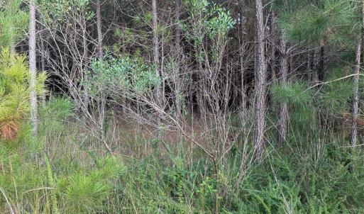 Photo #3 of Pleasant Grove Church, Wadesboro, NC