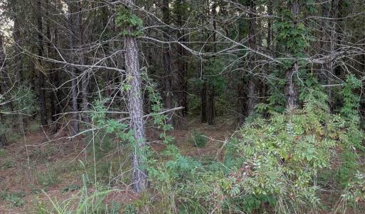 Photo #6 of Pleasant Grove Church, Wadesboro, NC