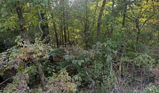 Photo #8 of Pleasant Grove Church, Wadesboro, NC
