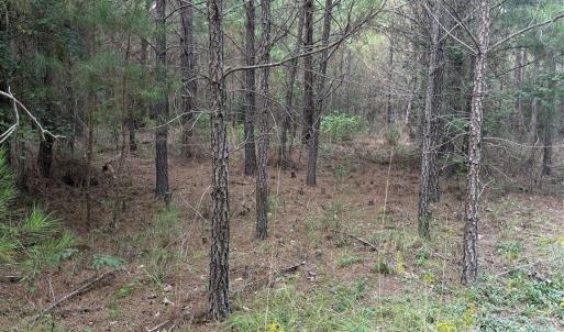 Photo #1 of Pleasant Grove Church, Wadesboro, NC