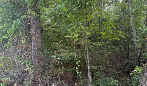 Photo #9 of Pleasant Grove Church, Wadesboro, NC