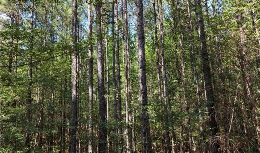 Photo #21 of TBD NC HWY 109, Wadesboro, NC