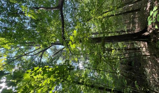 Photo #28 of TBD NC HWY 109, Wadesboro, NC