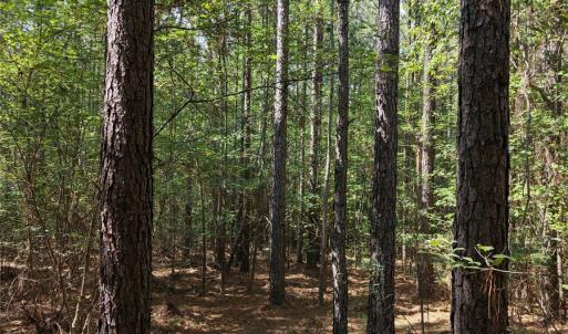 Photo #20 of TBD NC HWY 109, Wadesboro, NC