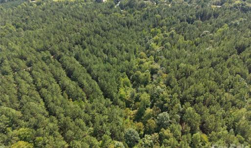 Photo #35 of TBD NC HWY 109, Wadesboro, NC