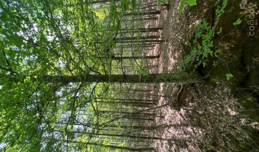 Photo #31 of TBD NC HWY 109, Wadesboro, NC