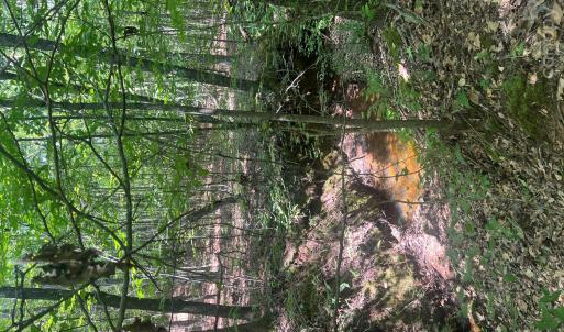 Photo #25 of TBD NC HWY 109, Wadesboro, NC