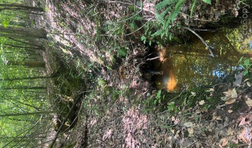 Photo #27 of TBD NC HWY 109, Wadesboro, NC