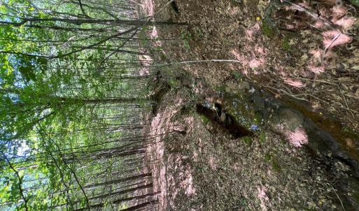 Photo #32 of TBD NC HWY 109, Wadesboro, NC