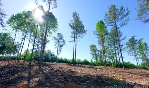 Photo #6 of Carson, Cleveland, NC