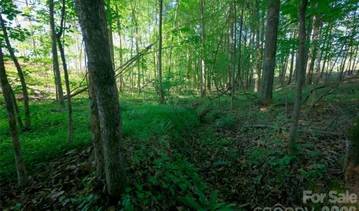 Photo #6 of Carson, Cleveland, NC