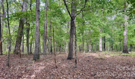 Photo #26 of St Martin, Albemarle, NC