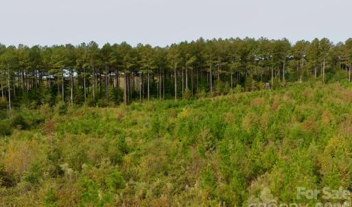 Photo #32 of St Martin, Albemarle, NC