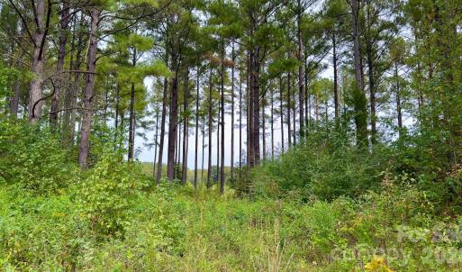 Photo #34 of St Martin, Albemarle, NC
