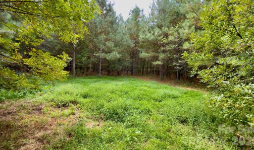 Photo #4 of St Martin, Albemarle, NC