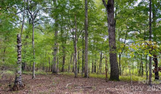 Photo #27 of St Martin, Albemarle, NC