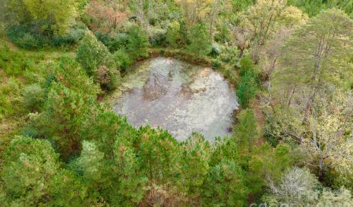 Photo #21 of St Martin, Albemarle, NC
