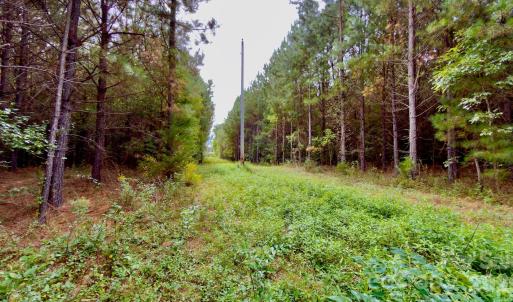 Photo #6 of St Martin, Albemarle, NC