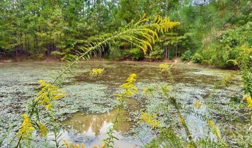 Photo #10 of St Martin, Albemarle, NC