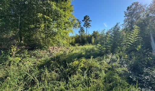 Photo #7 of Old Hwy 52, Wadesboro, NC