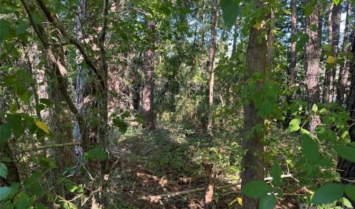 Photo #10 of Old Hwy 52, Wadesboro, NC