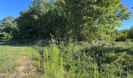 Photo #8 of Old Hwy 52, Wadesboro, NC