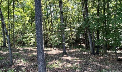 Photo #11 of VAC Brightwood, Norwood, NC