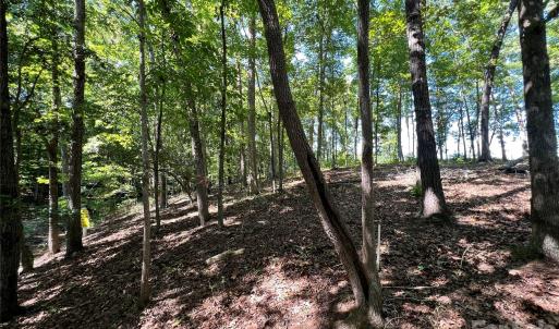 Photo #8 of VAC Brightwood, Norwood, NC