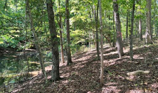 Photo #10 of VAC Brightwood, Norwood, NC