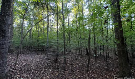 Photo #5 of 8160 Christopher, Concord, NC