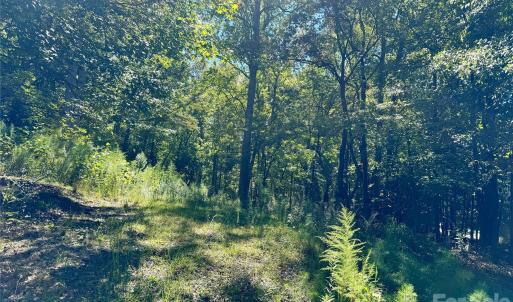 Photo #11 of 10062 Southwinds, Indian Land, SC