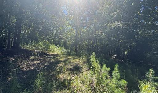 Photo #10 of 10062 Southwinds, Indian Land, SC