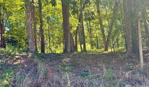 Photo #2 of 10062 Southwinds, Indian Land, SC