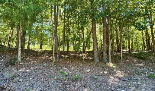 Photo #1 of 10062 Southwinds, Indian Land, SC