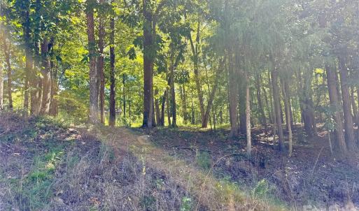 Photo #3 of 10062 Southwinds, Indian Land, SC