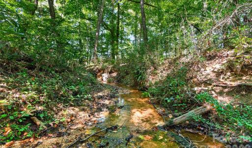 Photo #23 of Narrow Bridge, Chester, SC