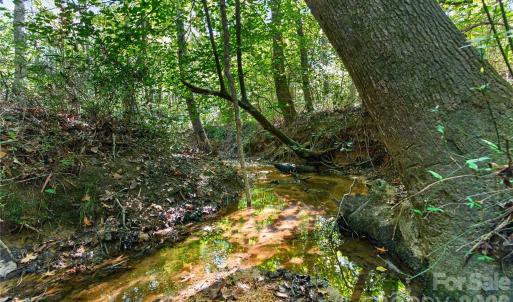 Photo #22 of Narrow Bridge, Chester, SC