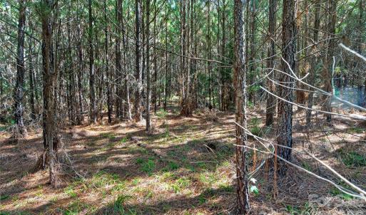 Photo #8 of Narrow Bridge, Chester, SC