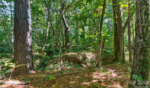 Photo #13 of Narrow Bridge, Chester, SC