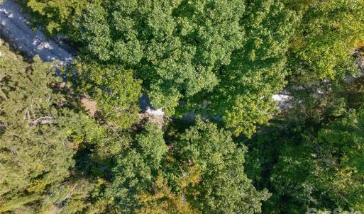 Photo #33 of Narrow Bridge, Chester, SC
